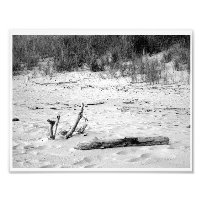 Lake Michigan beach scene Photo Print (Front)