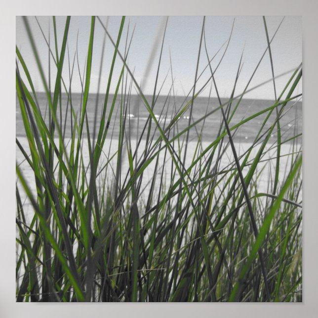 Lake Michigan behind grass Poster (Front)