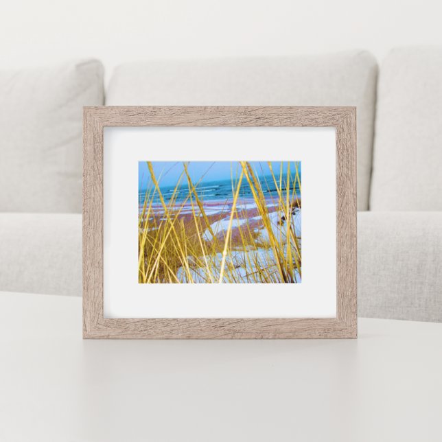 Lake Michigan Dune Grass Poster (Creator Uploaded)
