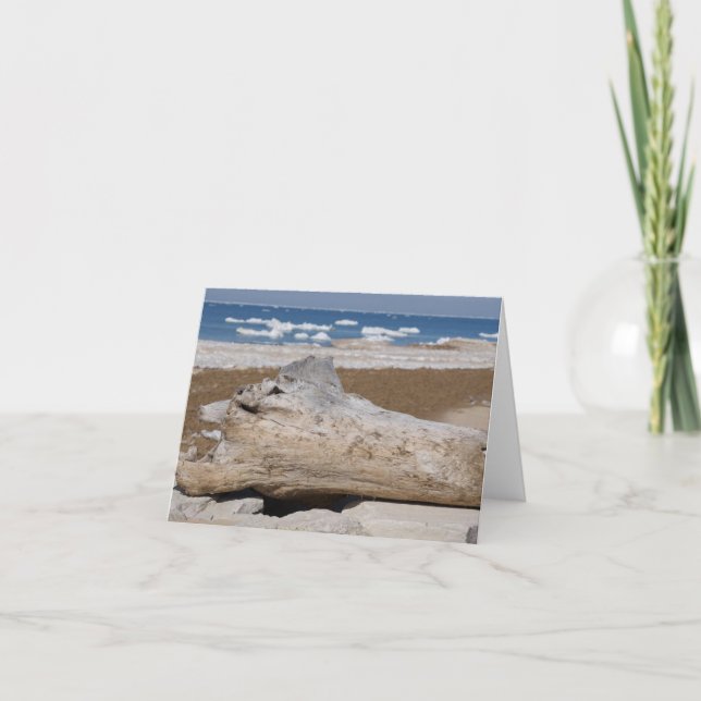 Lake Michigan Iceberg & Driftwood Blank Notecards (Front)