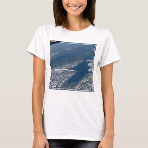 Lake Michigan Lake Huron And State Of Michigan T_Shirt