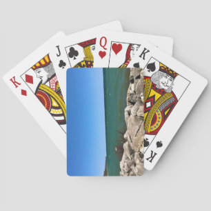 Lake Michigan, Port Washington, Wisconsin Poker Cards