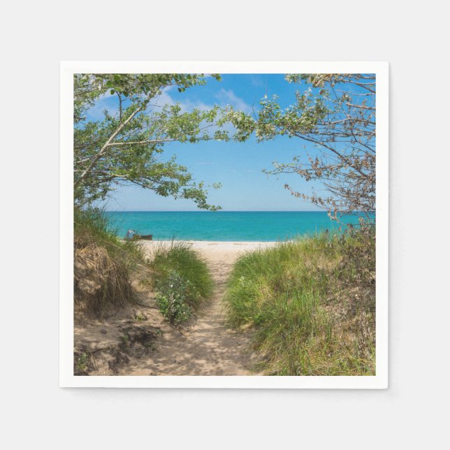 Lake Michigan Tranquility Paper Napkins (Front)