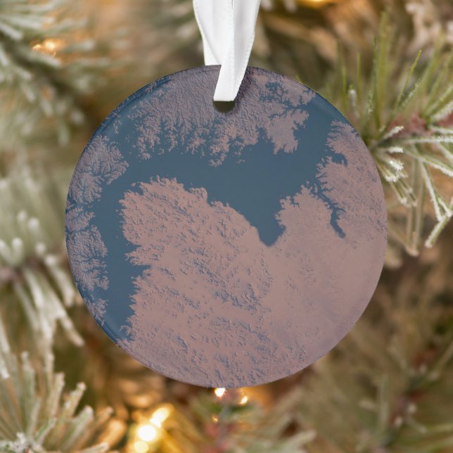 Lake Nasser Ornament (Tree)