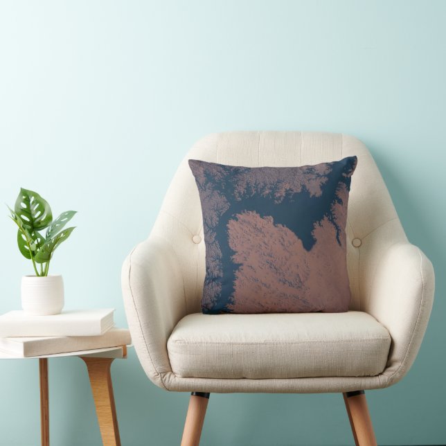 Lake Nasser Throw Pillow (Chair)