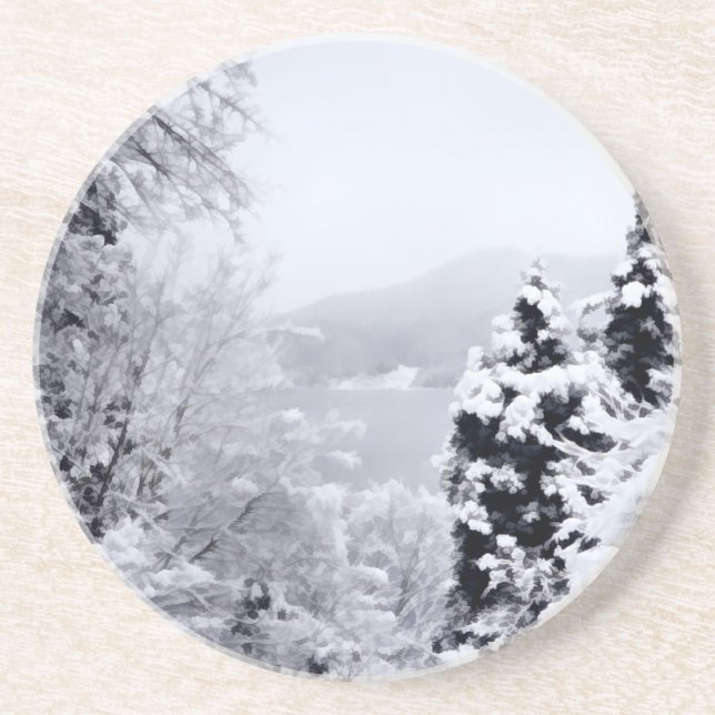 Lake Nojiri Coaster (Front)