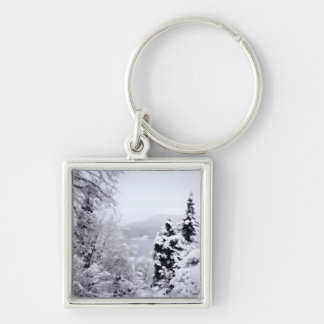 Lake Nojiri Keychain