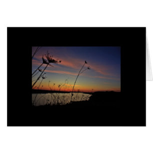 lake of the ozarks card