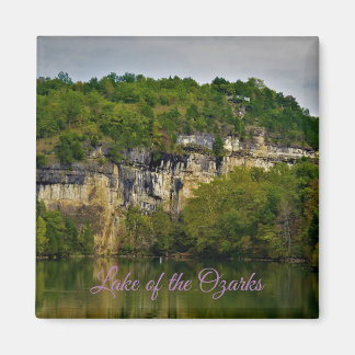 lake of the ozarks magnet