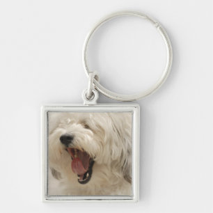 Lake of the Woods, Ontario, Canada Keychain