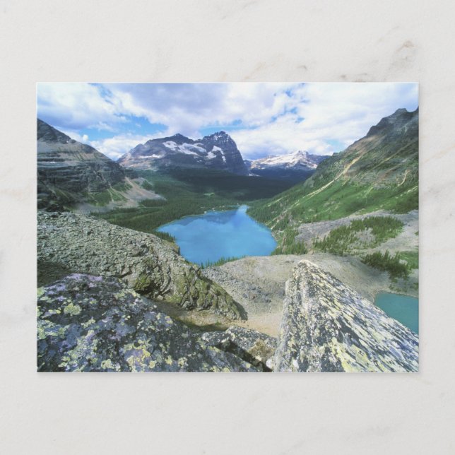 Lake O'Hara, Yoho NP, BC, Canada Postcard (Front)