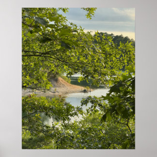 Lake Overlook Photo Poster