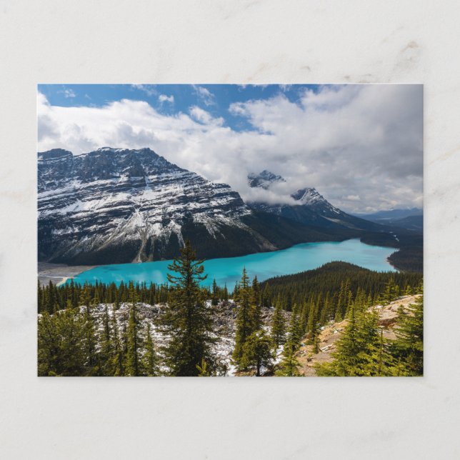 Lake Peyto in the Rocky Mountains Postcard (Front)