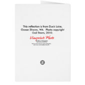 Lake Reflection Cards (Back)
