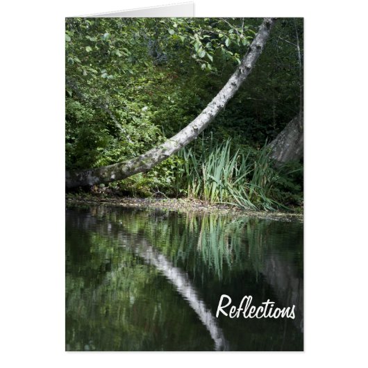 Lake Reflection Cards (Front)