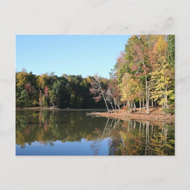 Lake Reflection of Orange Fall Leaves & Blue Skies Postcard (Front)
