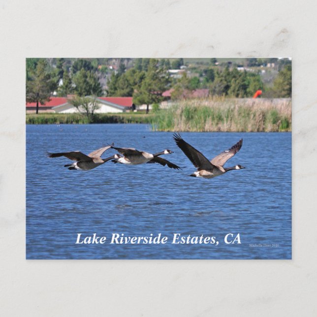 Lake Riverside Estates, CA Postcard (Front)