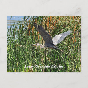 Lake Riverside Estates Postcard
