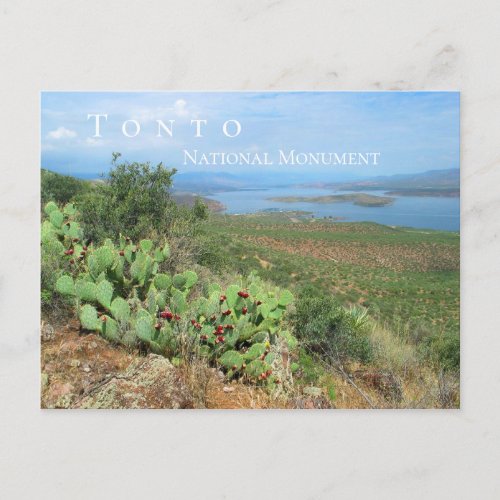 Lake Roosevelt Tonto National Monument AZ Postcard