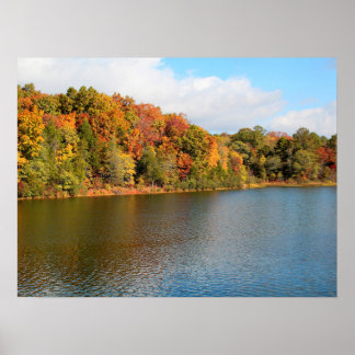 Lake Russell Fall Colors Poster