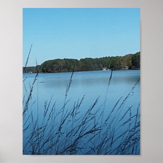 Lake Scene  Poster