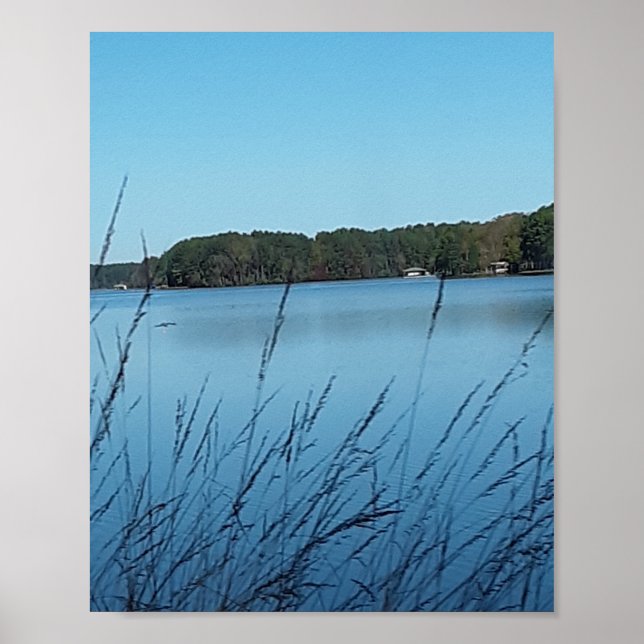 Lake Scene  Poster (Front)