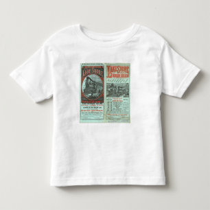 Lake Shore and Michigan So Railway Toddler T-shirt