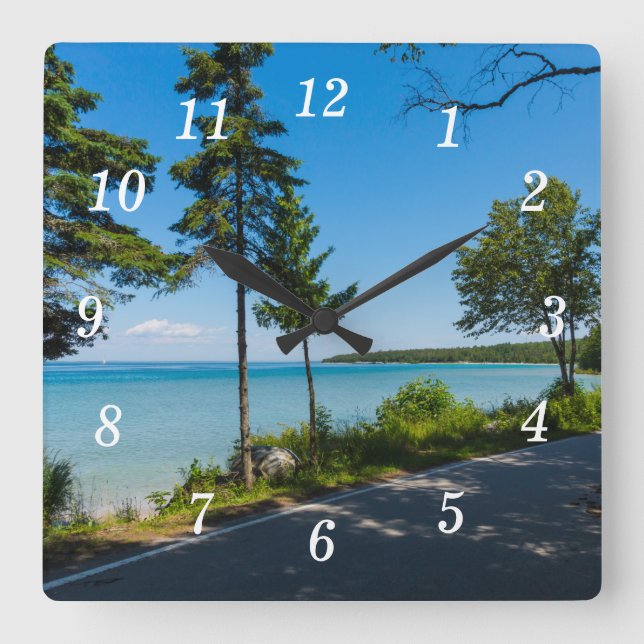 Lake Shore Drive Paradise Wall Clock (Front)