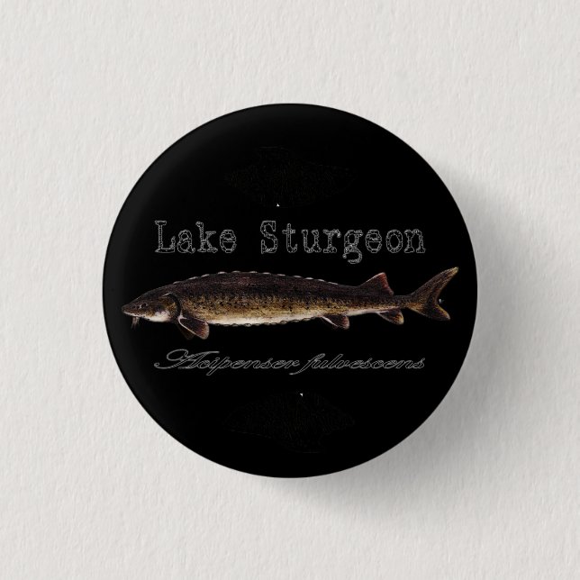Lake Sturgeon Pinback Button (Front)