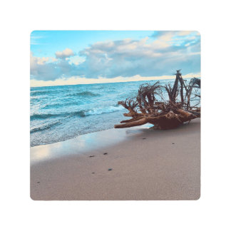 Lake Superior Driftwood roots #2 Metal Print