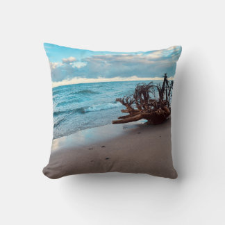 Lake Superior Driftwood roots #2 Throw Pillow