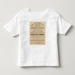 Lake Superior Iowa and Minnesota Advertisement Toddler T-shirt