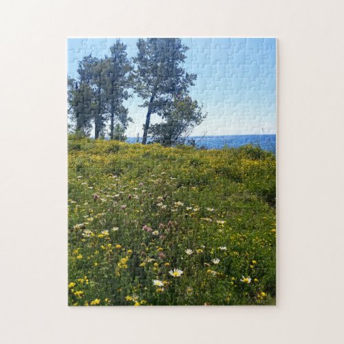 Lake Superior Wildflowers Jigsaw Puzzle