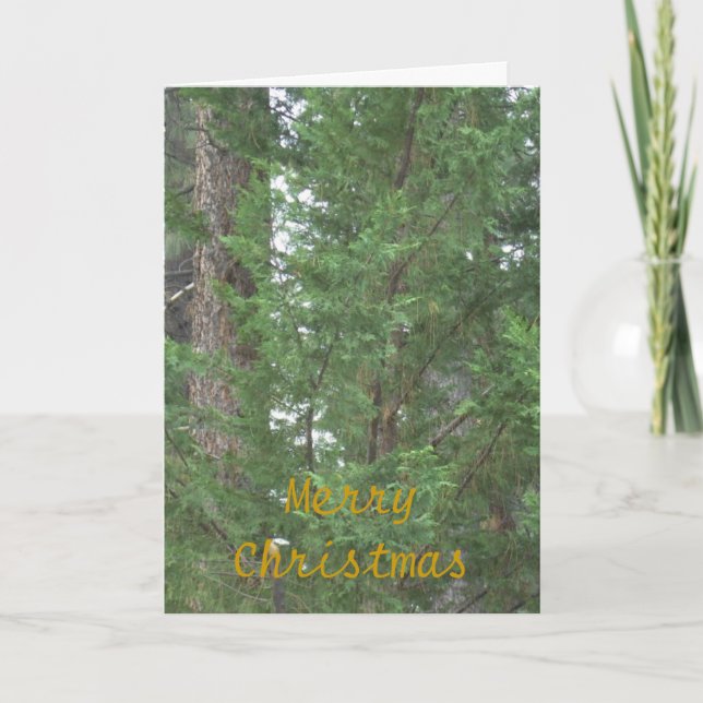 Lake Tahoe Christmas Collection Card (Front)