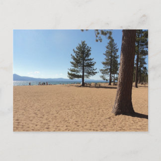 Lake Tahoe Evergreens Postcard