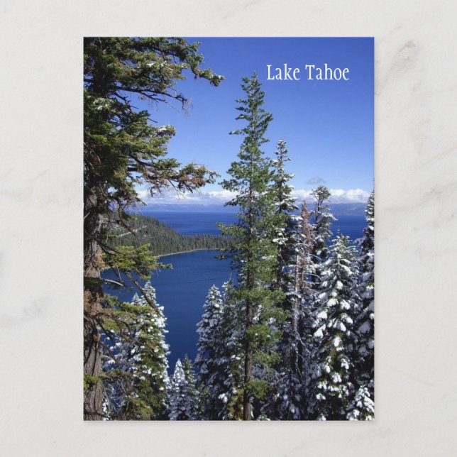 Lake Tahoe Postcard (Front)