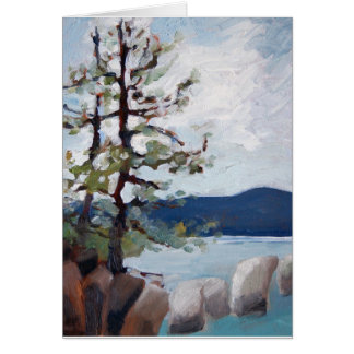 Lake Tahoe study Cards