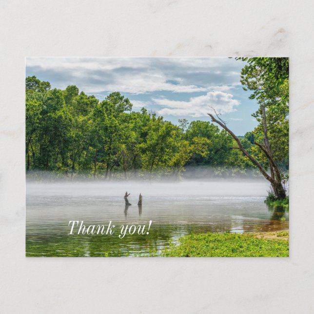 Lake Taneycomo Summer Fog Thank you Postcard (Front)