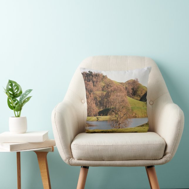 Lake....... Throw Pillow (Chair)