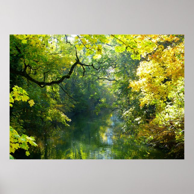 Lake & Trees Poster (Front)