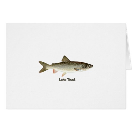 Lake Trout Artwork Cards (Front Horizontal)