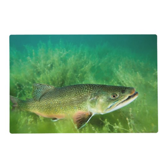 Lake Trout Portrait, Emerald Lake, Montana Placemat