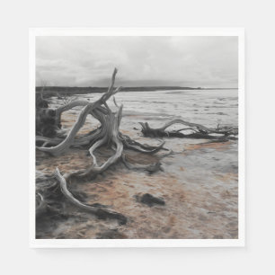 Lake Tyrrell Natural Forces  Napkins