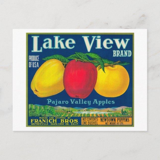 Lake View Apple Label - Watsonville, CA Postcard (Front)