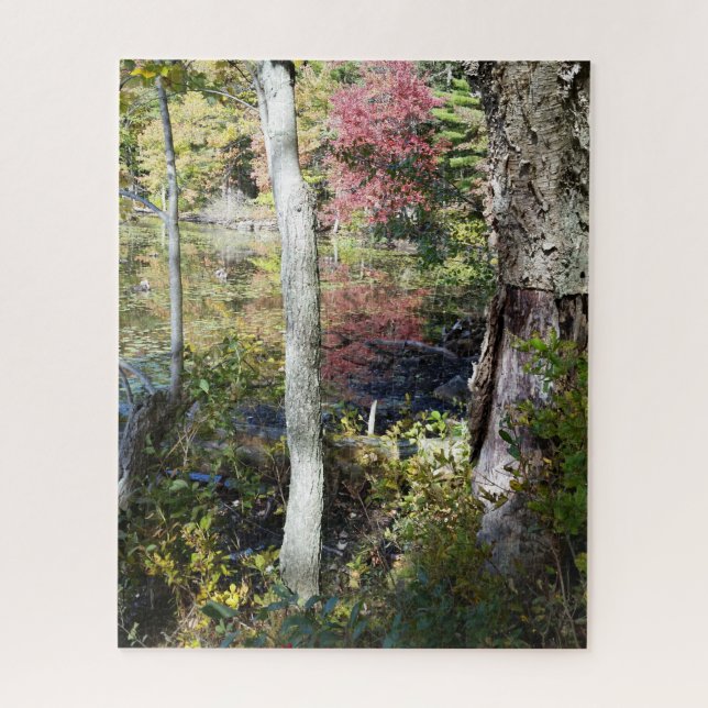 lake view jigsaw puzzle (Vertical)