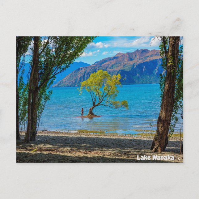 Lake Wanaka New Zealand Postcard (Front)