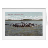 Lake Washington Regatta Scene (Front Horizontal)