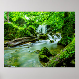 lake waterfall poster