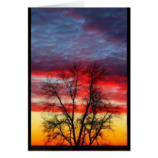 Lake Winnebago American Flag Sunset Cards (Front)