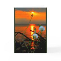 Lake Winnebago Sunset Any Occasion Card